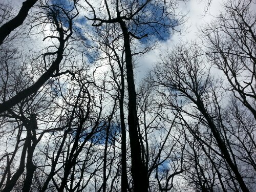 20140307_144741.jpg image