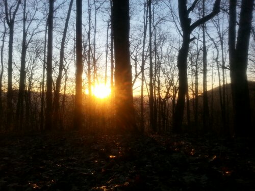 20140311_080001.jpg image