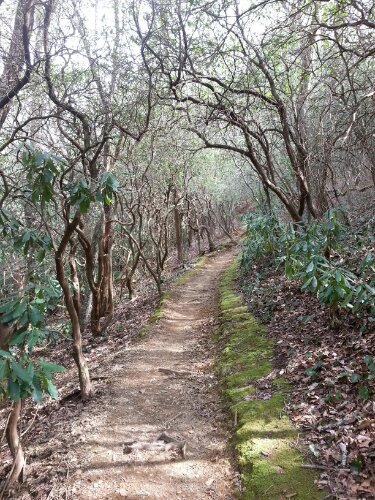 20140315_145530.jpg image